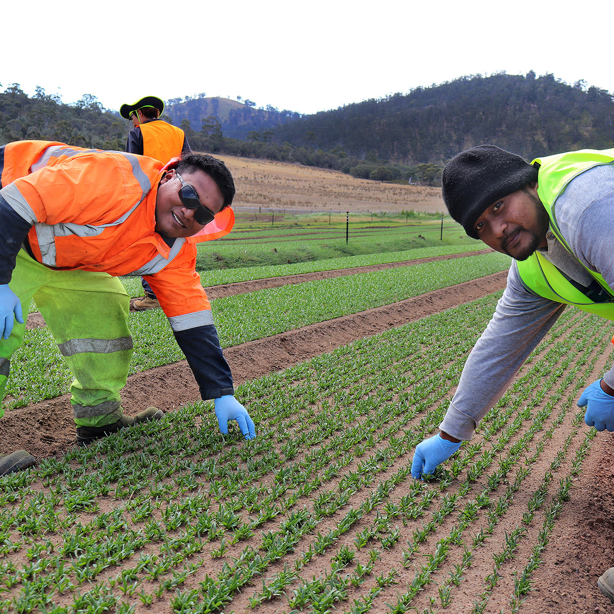 Agriculture Recruitment